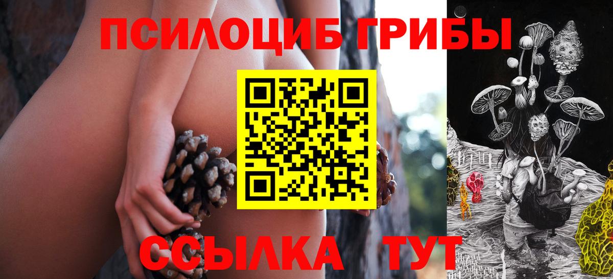 Галлюциногенные грибы Magic Shrooms  хочу   Новошахтинск  Вход с VPN 